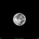 Illustration for article titled 19 Stunning Photos of The Year's Biggest, Most Beautiful Moon So Far